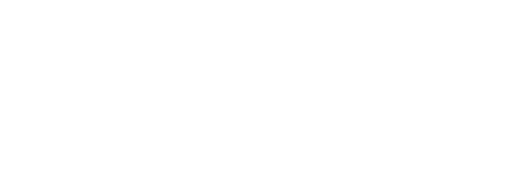 A Consultancy Company